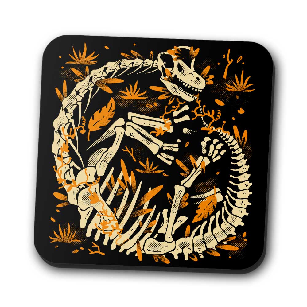 Brachio Fossils - Coasters