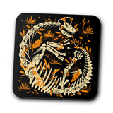 Brachio Fossils - Coasters