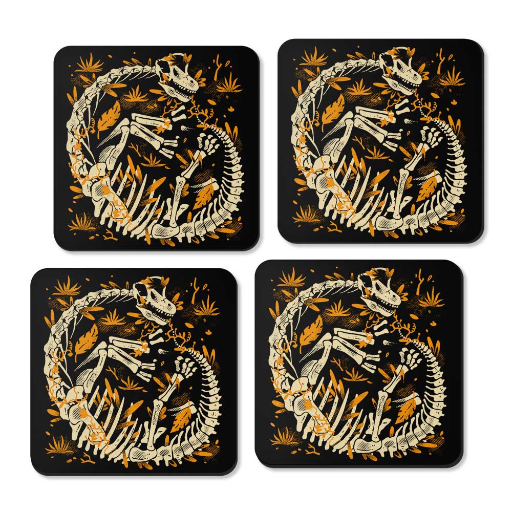 Brachio Fossils - Coasters