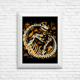 Brachio Fossils - Posters & Prints