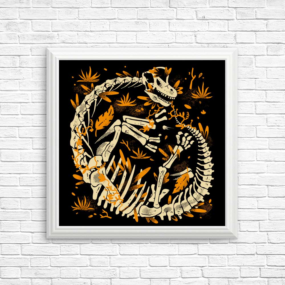 Brachio Fossils - Posters & Prints