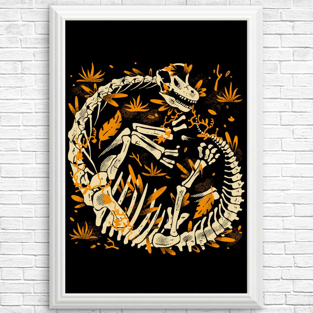 Brachio Fossils - Posters & Prints