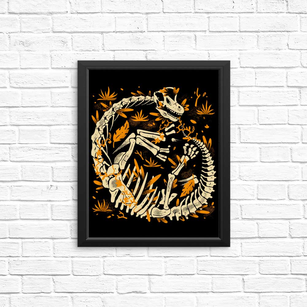 Brachio Fossils - Posters & Prints