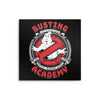 Busting Academy - Metal Print