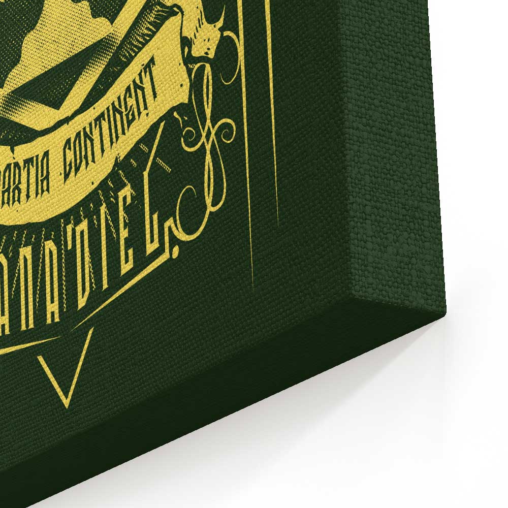 Classic Federation - Canvas Print