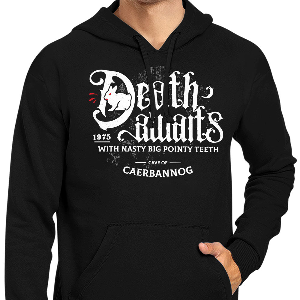 Death Awaits - Hoodie