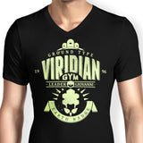 Earth Badge - Men's V-Neck