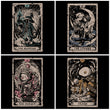 Entire Fantasy Collection - Apparel Collection
