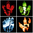 Entire Jurassic Collection - Apparel Collection