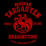 Fire and Blood - Throw Pillow