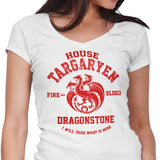 Fire and Blood - Women's V-Neck