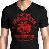 Fire and Blood - Men's V-Neck