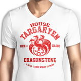 Fire and Blood - Men's V-Neck
