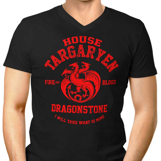 Fire and Blood - Men's V-Neck