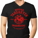 Fire and Blood - Men's V-Neck