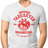 Fire and Blood - Men's V-Neck