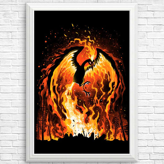 Fire Bird - Posters & Prints