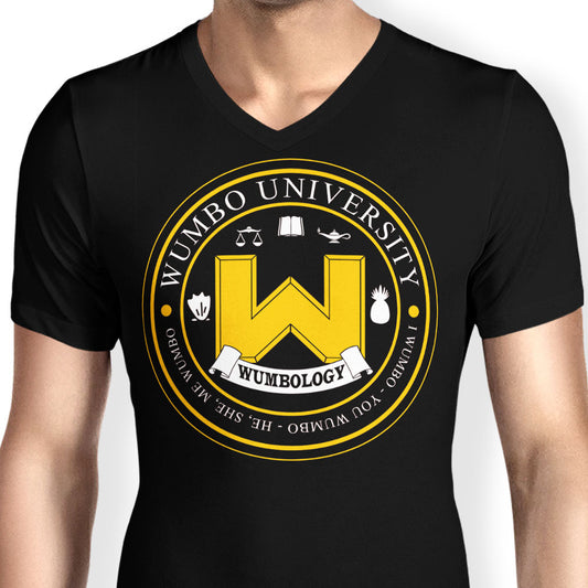 First Grade Stuff - Men's V-Neck