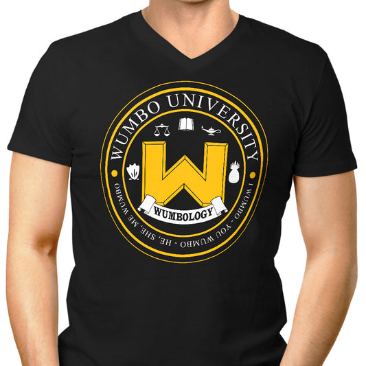 First Grade Stuff - Men's V-Neck