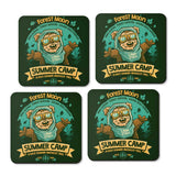 Forest Moon Summer Camp - Coasters