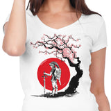 Hero Under the Sun - Women's V-Neck