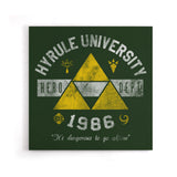 Hyrule U - Canvas Print