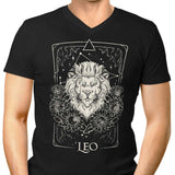 Leo (Edu.Ely) - Men's V-Neck