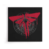 Liars - Canvas Print