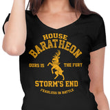 Ours is the Fury - Women's V-Neck