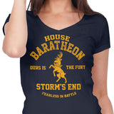 Ours is the Fury - Women's V-Neck