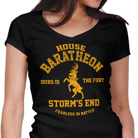 Ours is the Fury - Women's V-Neck