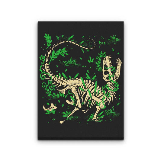 Raptor Fossils - Canvas Print