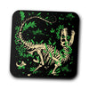 Raptor Fossils - Coasters