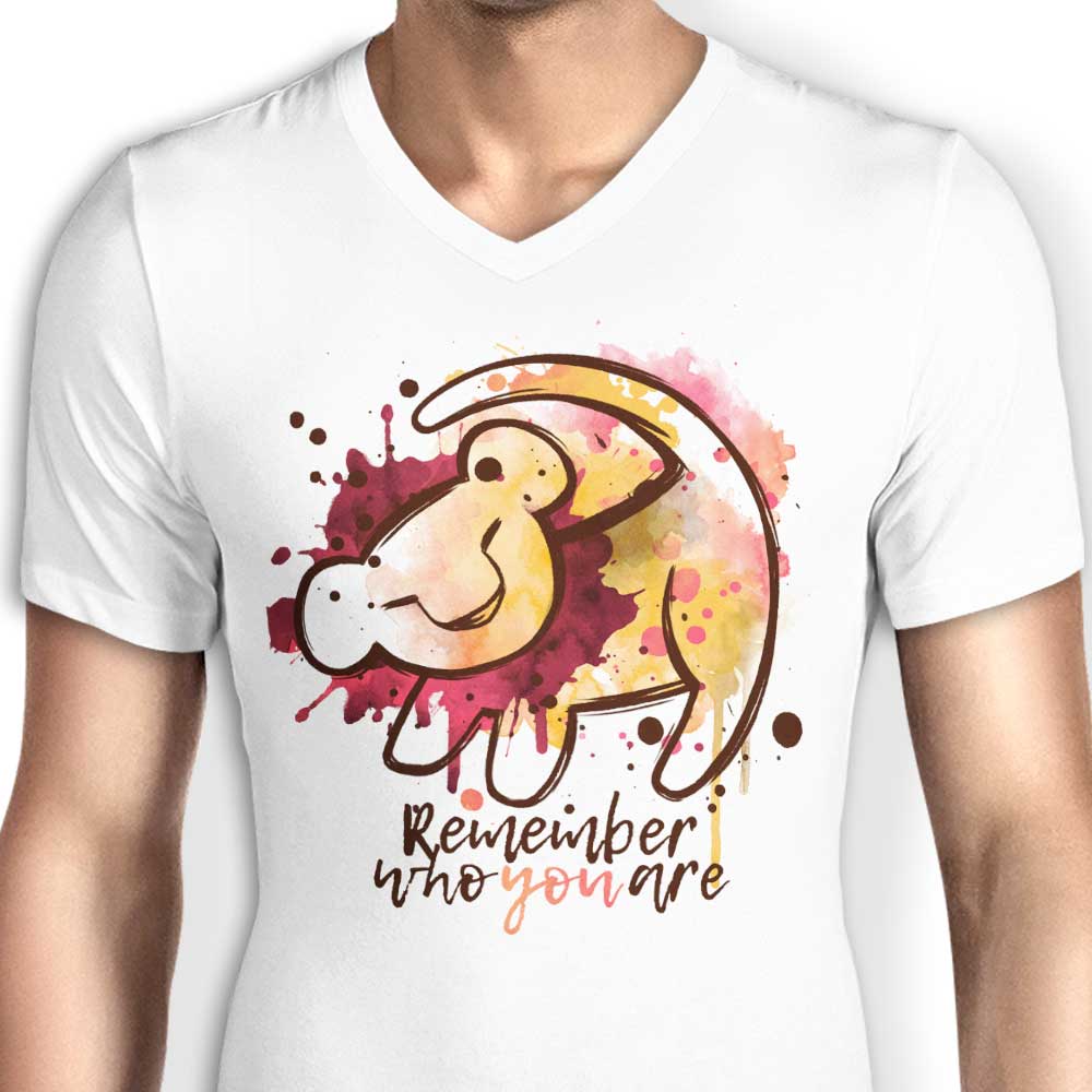 Remember Who You Are - Men's V-Neck