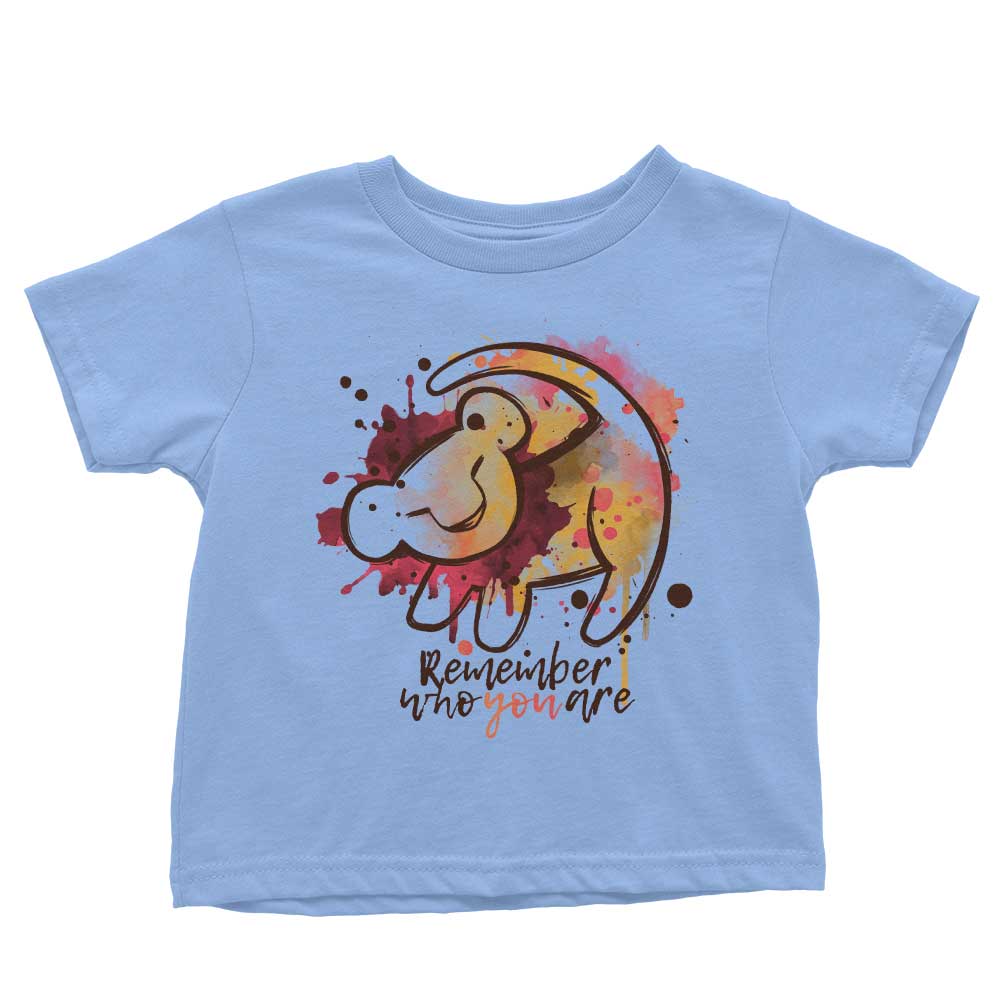 Remember Who You Are - Youth Apparel