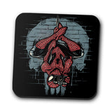 Smile for the Camera - Coasters