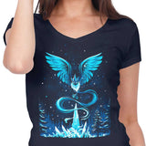 Snowstorm Blizzard - Women's V-Neck