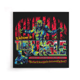 Somewhere in Central America - Canvas Print