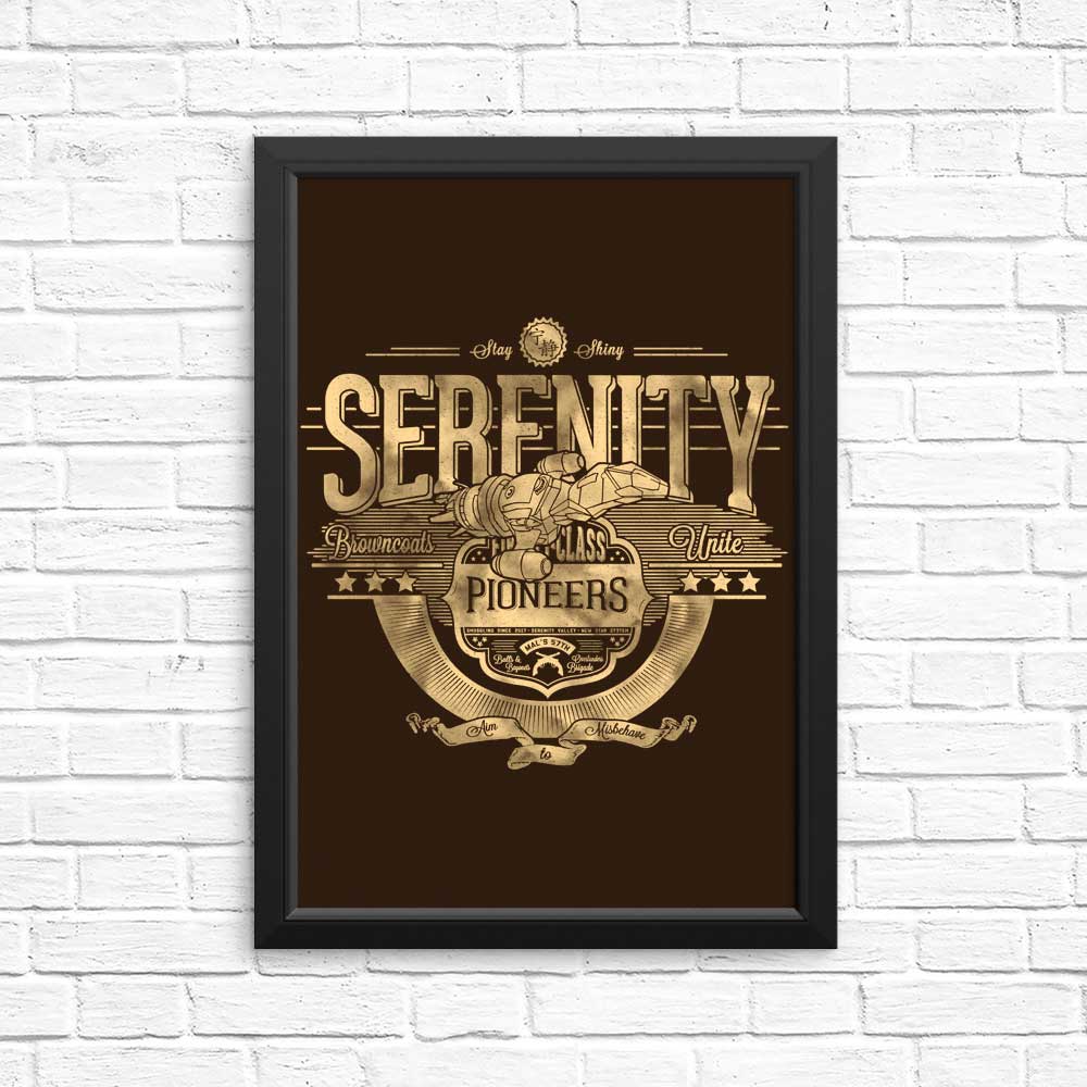 Space Pioneers - Posters & Prints