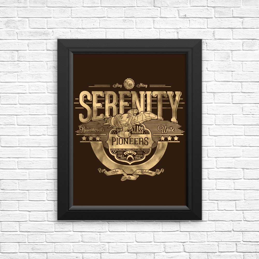 Space Pioneers - Posters & Prints