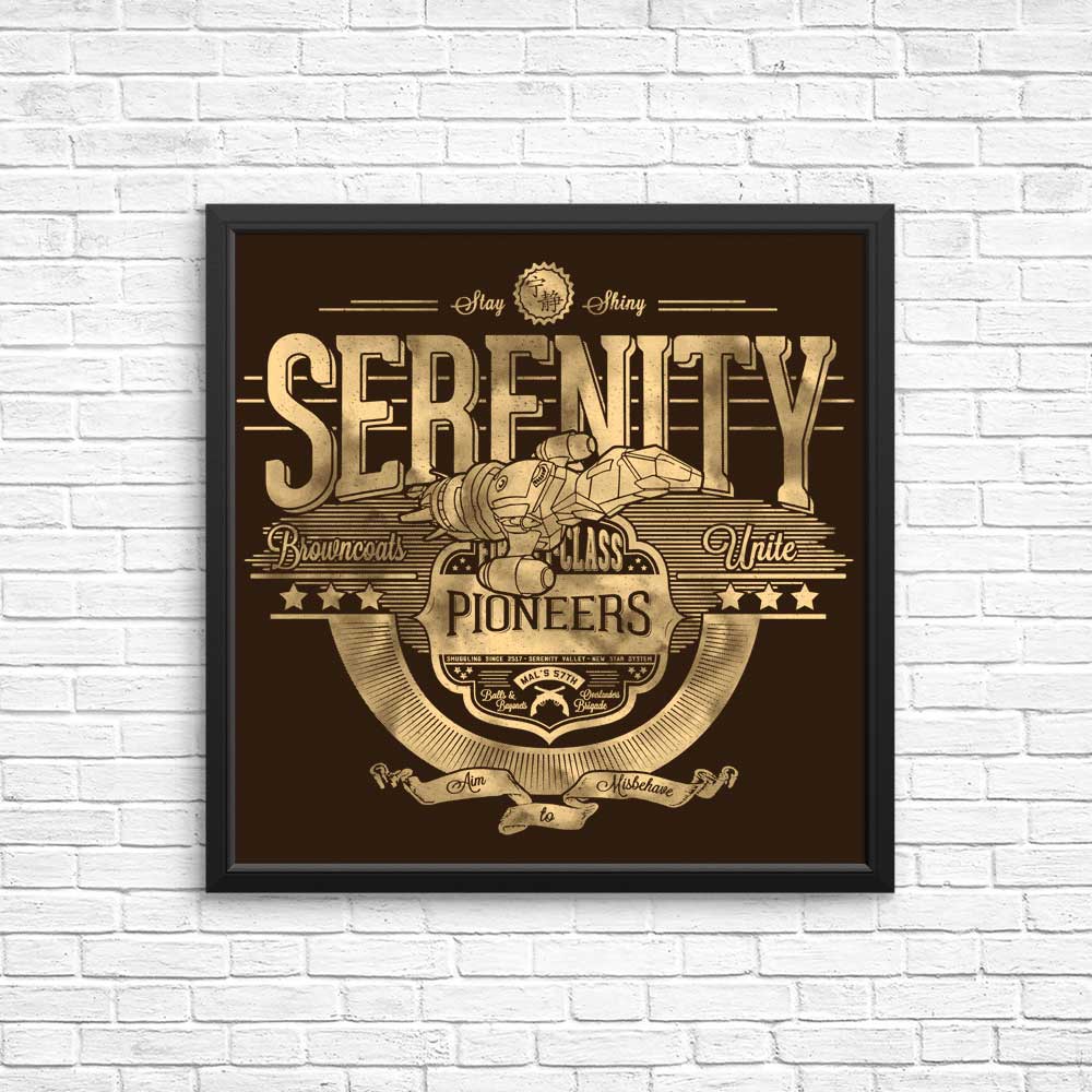 Space Pioneers - Posters & Prints