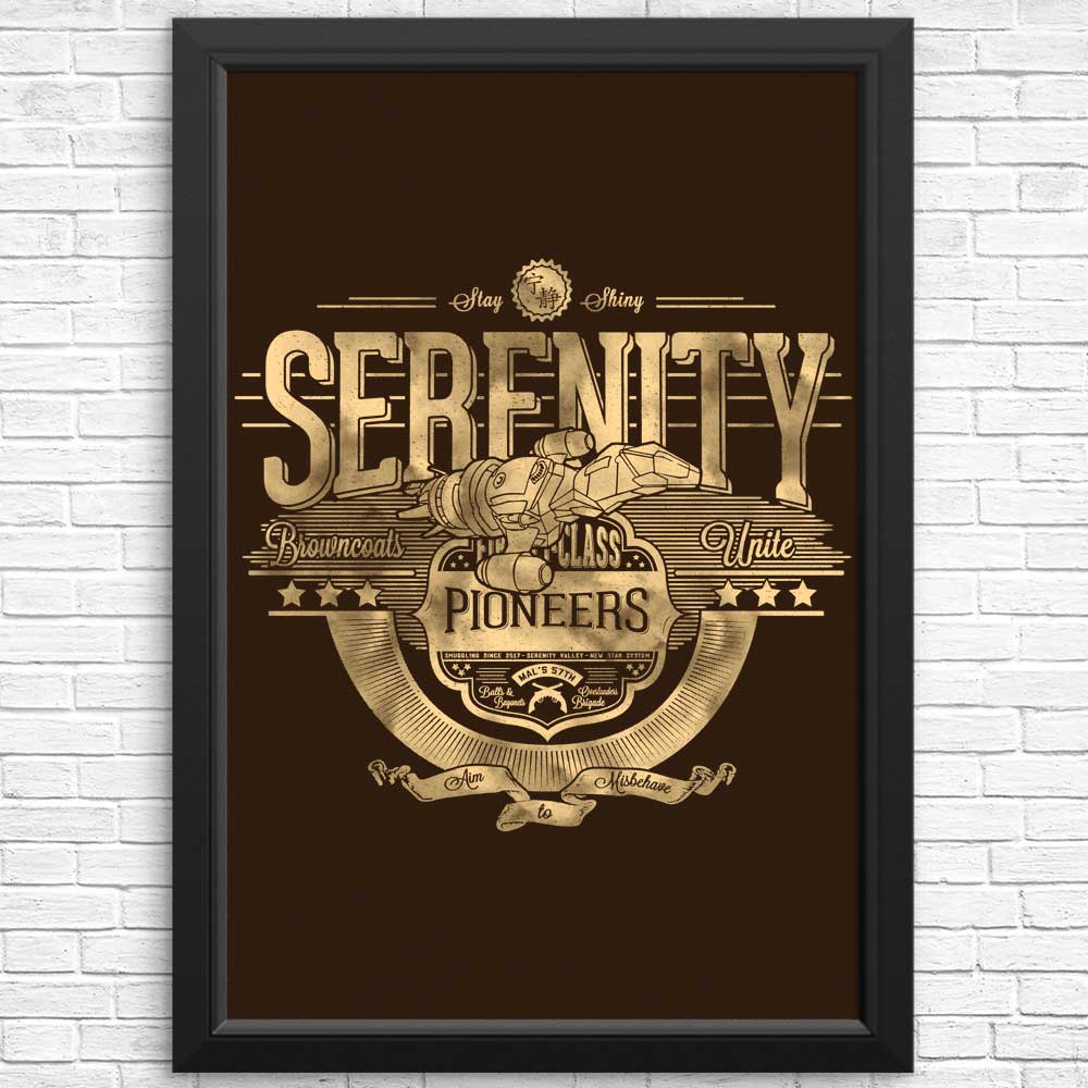 Space Pioneers - Posters & Prints