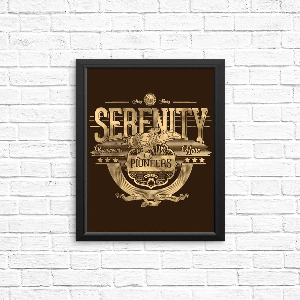 Space Pioneers - Posters & Prints