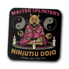 Splinter's Dojo - Coasters
