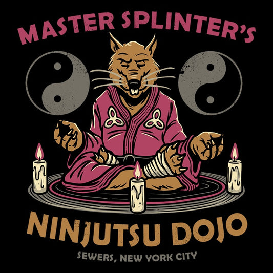 Splinter's Dojo - Coasters