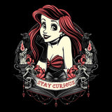 Stay Curious - Coasters