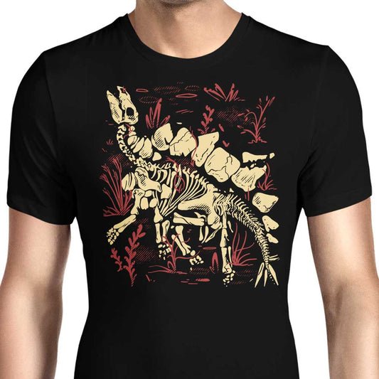 Stegosaurus Fossils - Men's Apparel