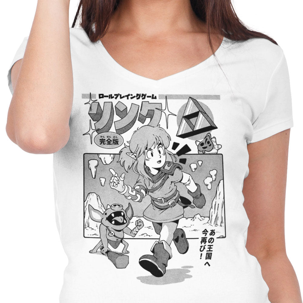The Hero's Journey - Women's V-Neck