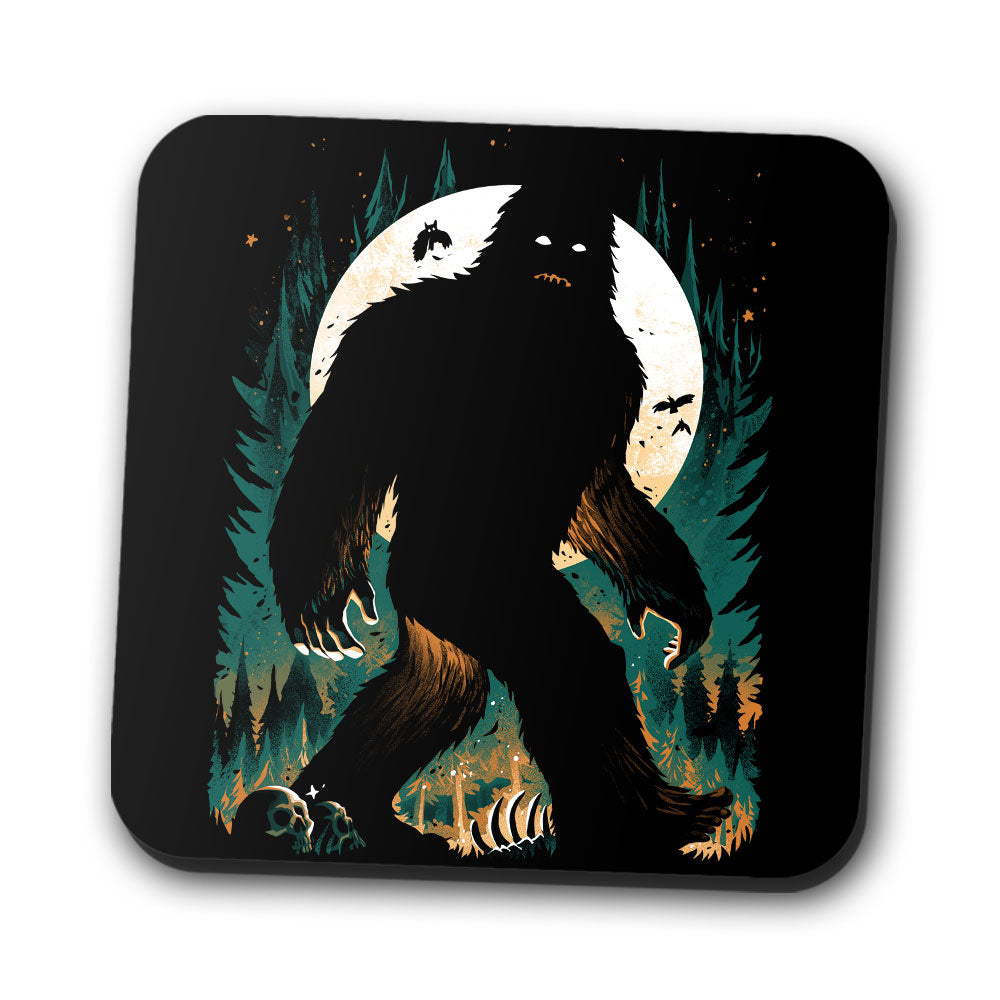 The Hidden One - Coasters