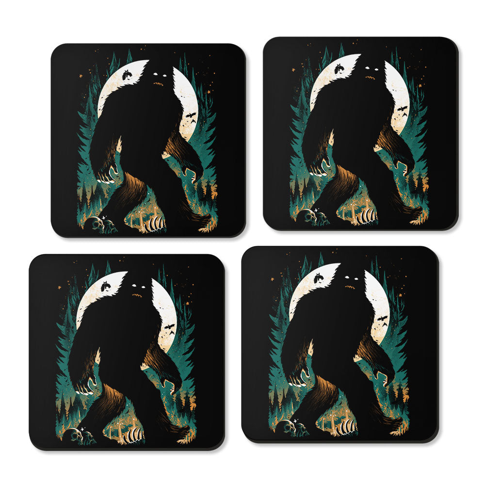 The Hidden One - Coasters